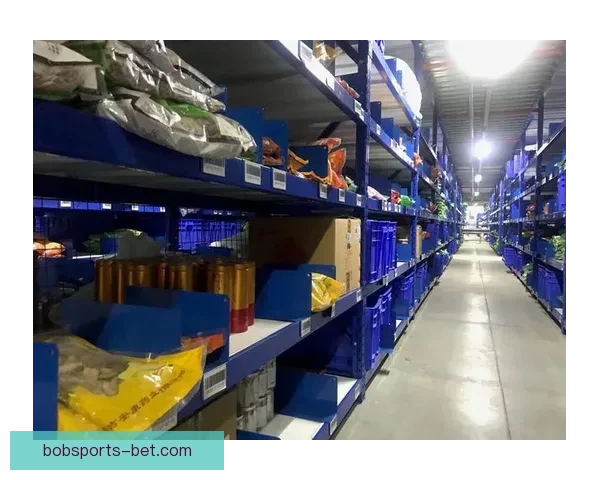 BOB体育官方权威资讯与全新赛事直播体验全面解析