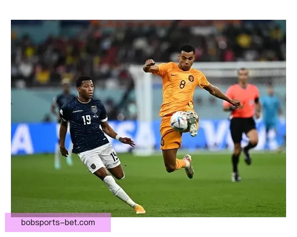 世界杯竞猜数据分析与赛事走势预测全面指南