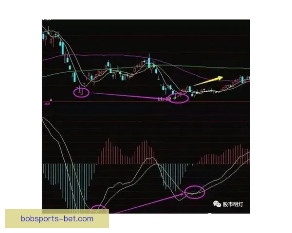 世界杯竞猜盘口分析与预测技巧 轻松把握赛前投注机会